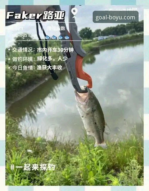 揭秘2026博鱼体育移动端：你不知道的版本升级与实战体验真相